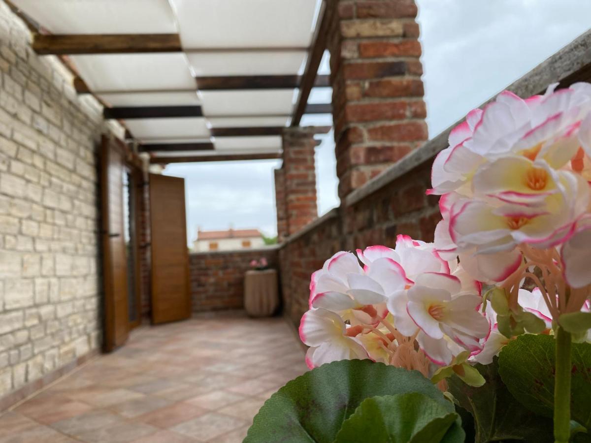 Paradise Villa Cassonni Istria 4 Stars Butkovici  Bagian luar foto